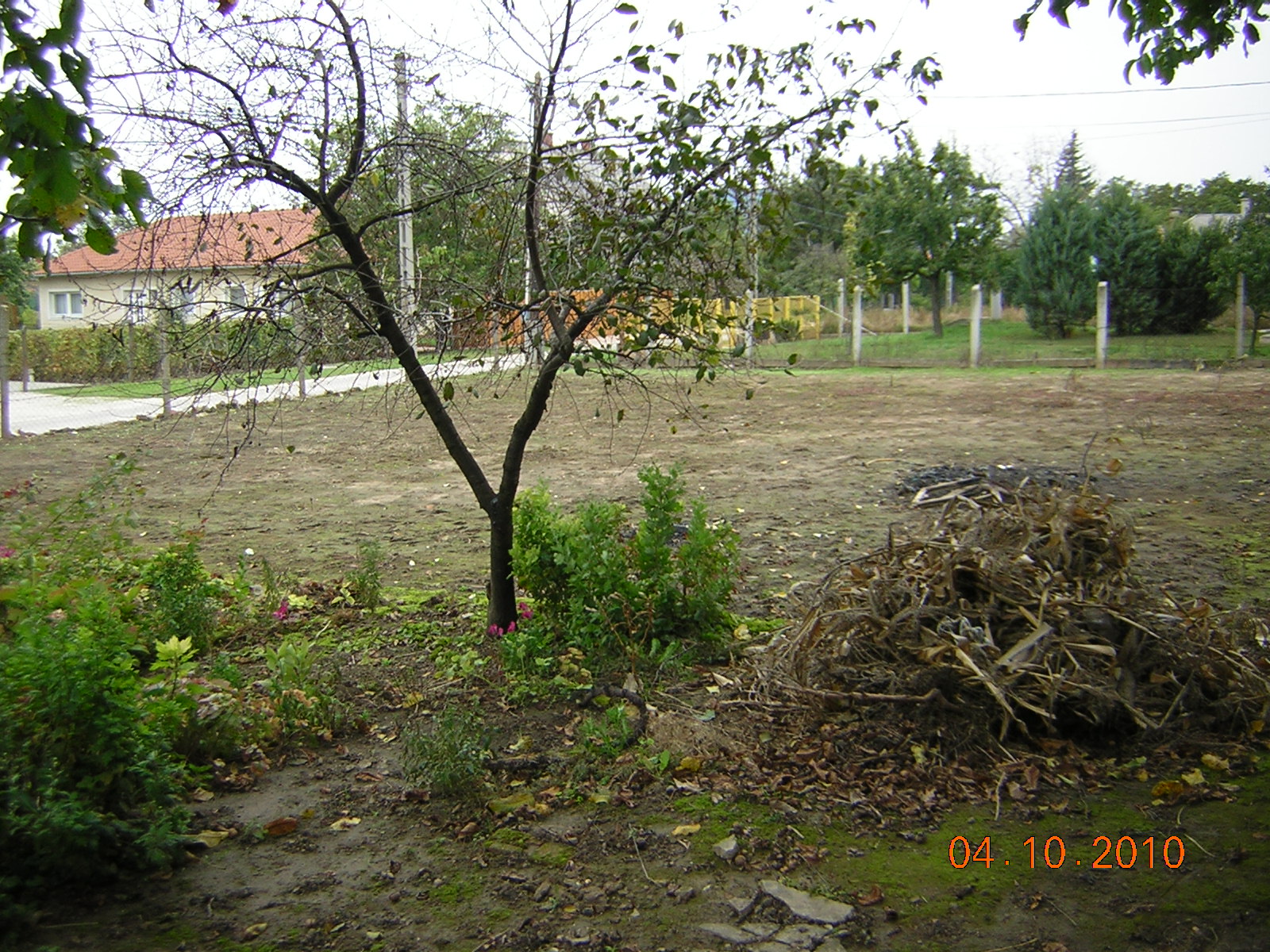 Kattintásra nagyít